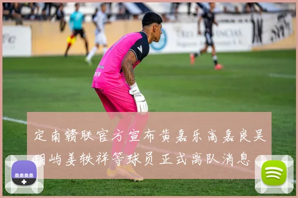 定南赣联官方宣布黄嘉乐高嘉良吴明屿姜轶祥等球员正式离队消息