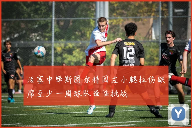活塞中锋斯图尔特因左小腿拉伤缺席至少一周球队面临挑战